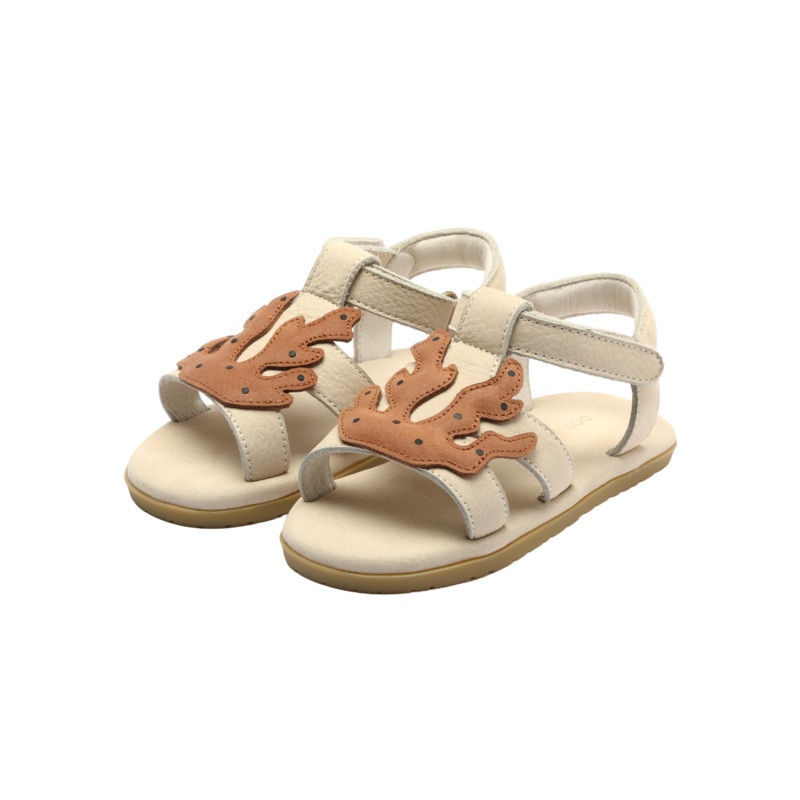 Lee Sea | Coral | Walnut Leather